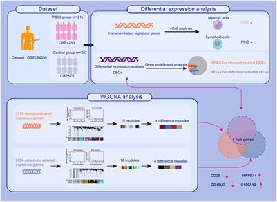 Identification of potential hub genes linked to immune and metabolic alterations in postoperative systemic inflammatory dysregulation